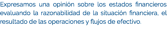 Expresamos una opinión sobre los estados financieros evaluando la razonabilidad de la situación financiera, el resultado de las operaciones y flujos de efectivo.